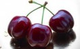 /products/cerezas-de-caceres/